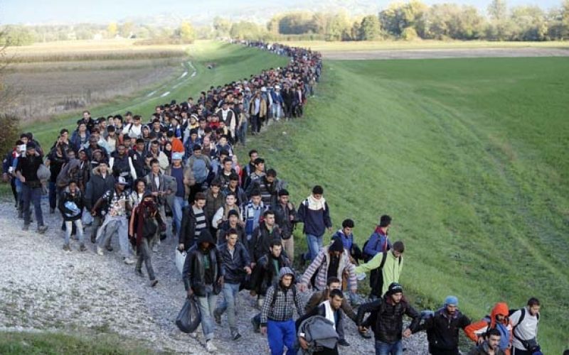 migranti-begunci-dobova_bobo_20.10.15.jpg