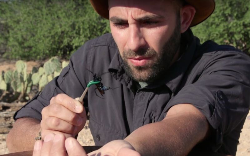 Coyote Peterson