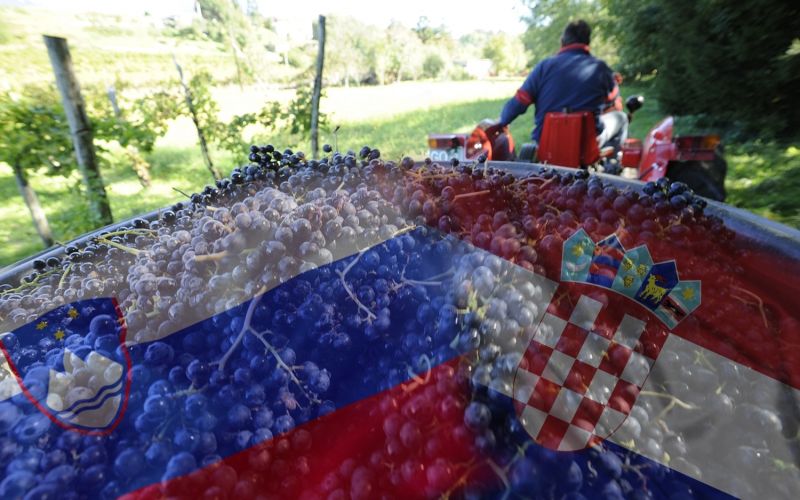 Se bo zgodba s teranom končala na sodišču?