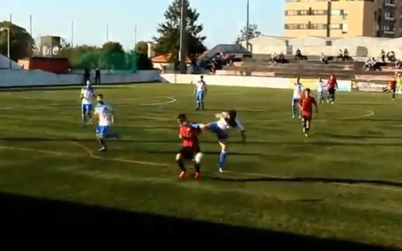 canelas 2010.jpg