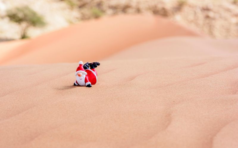 Sahara, božiček.jpg