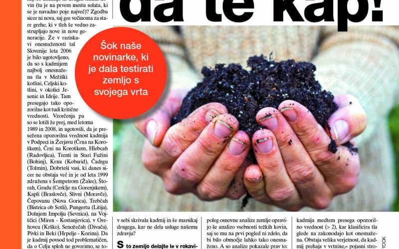 zemlja_Zarja_47.jpg