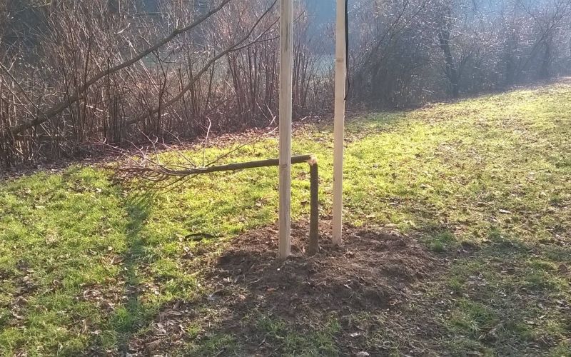 sadika, drevo, vandalizem, grba, pot spominov.jpg