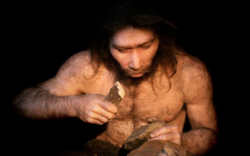 neandertalec, model, voščena lutka, muzej