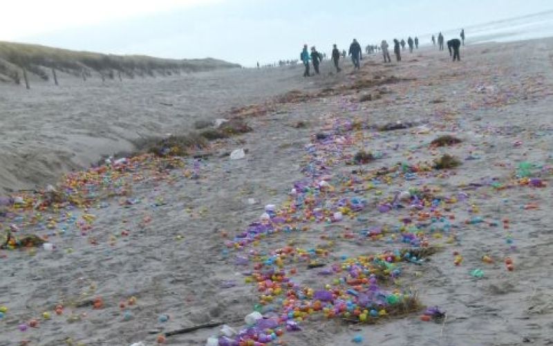 kinder jajca, obala, otok Langeoog