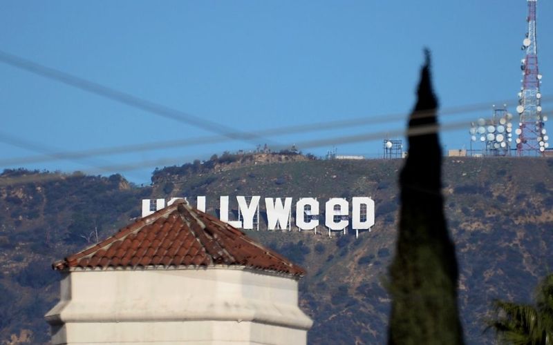 hollyweed.jpg
