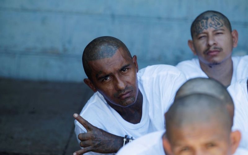 el salvador, tolpa, tolpe, tatu.jpg