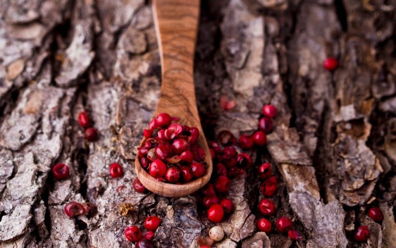 Schinus terebinthifolius, brazilski poper, rožnati poper