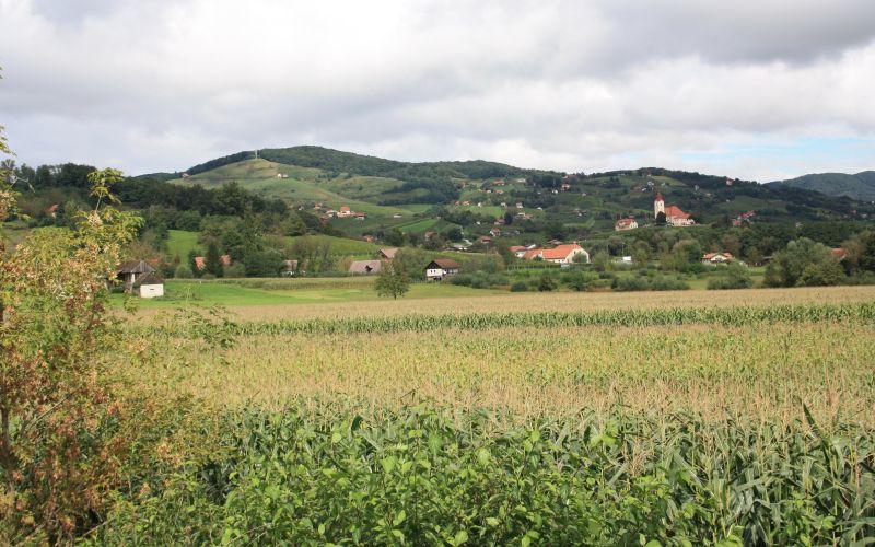 pogled_na_bizeljsko_s_ceste_bizeljsko_brezice.jpg