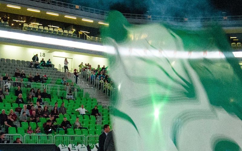 stozice-zmajcica af.jpg