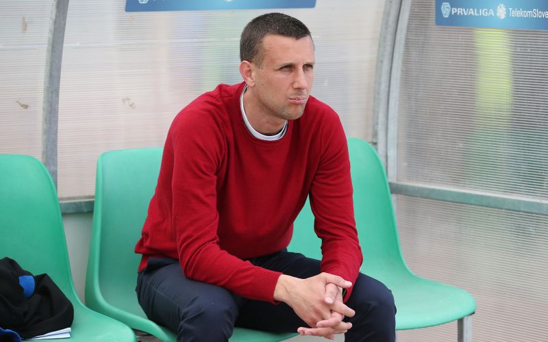 petrovic dw.jpg