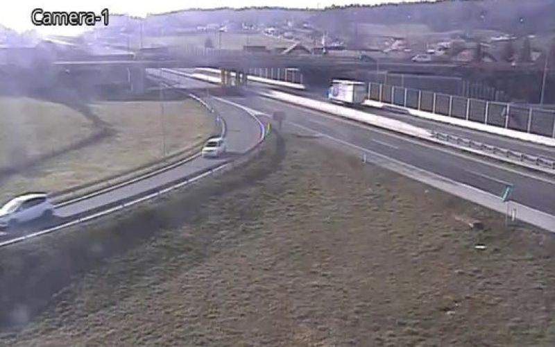izvoz celje.jpeg