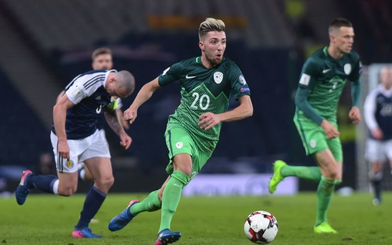 490-2-3-kampl gw.jpg