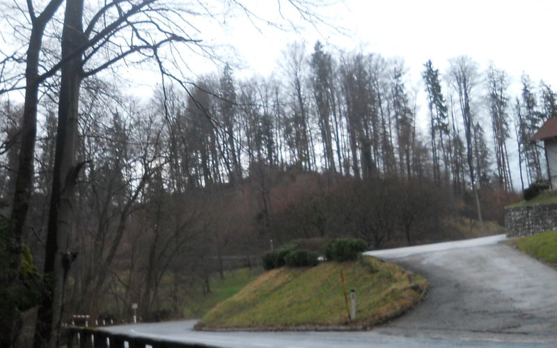 Mesečina.JPG