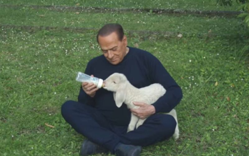Silvio Berlusconi, jagnje, vegatarijanec