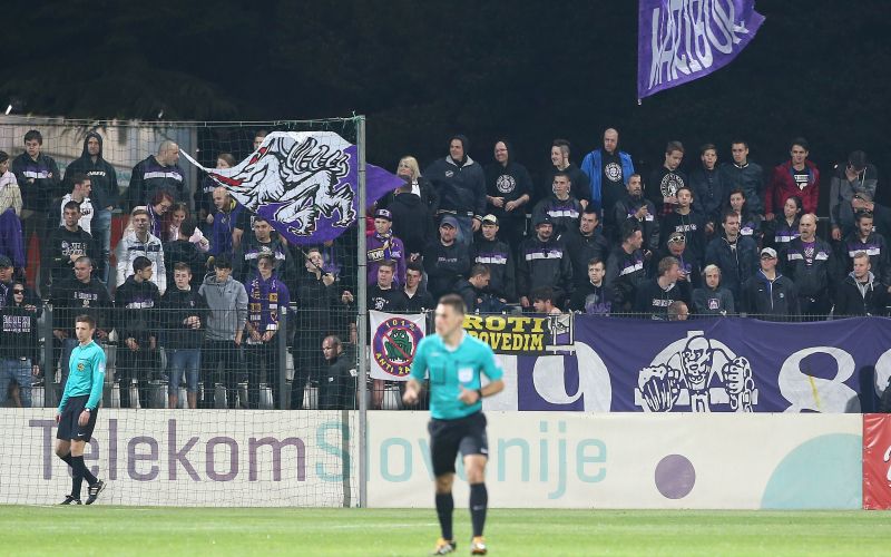 viole.jpg