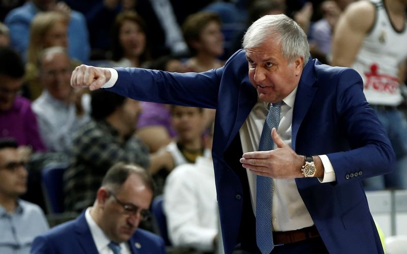 obradovic pm.jpg