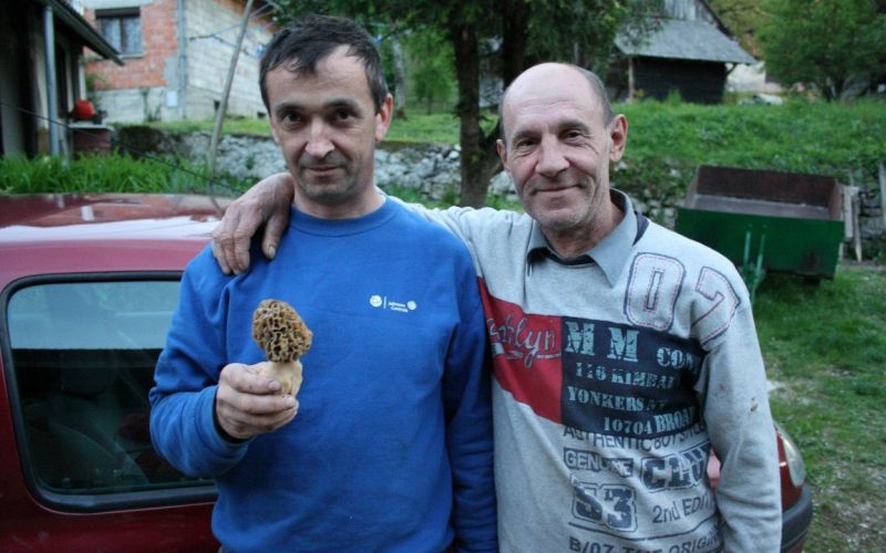 mavrahi___kopija.jpg