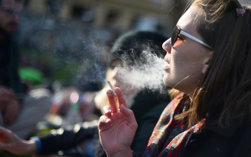 marihuana marš, konoplja