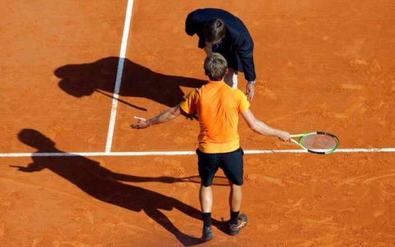 goffin.jpg
