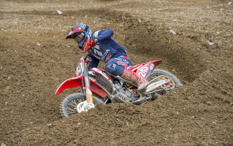 gajser.jpg