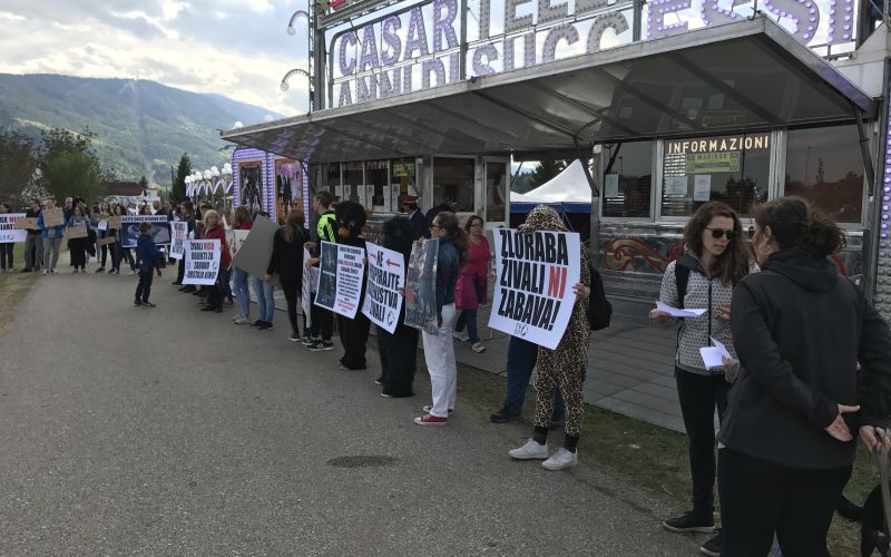 protest, cirkus, pred vhodom, Maribor