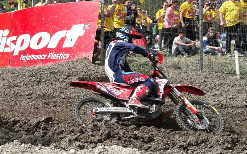 gajser 4.jpg