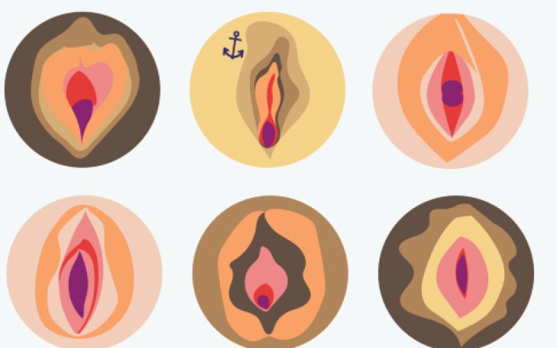 vagine.png