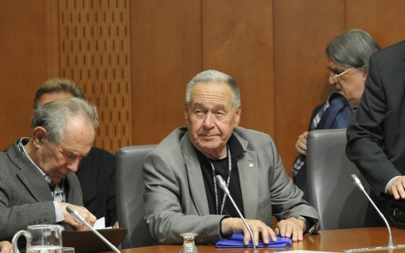 turnsek-dz_bobo.jpg