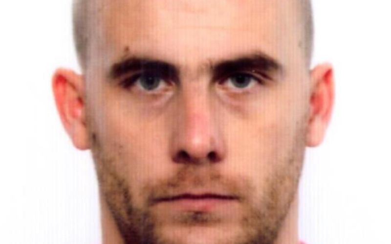 danijel brnos.png