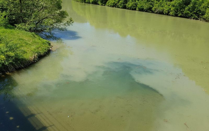 Mulj, Drava 5.jpg