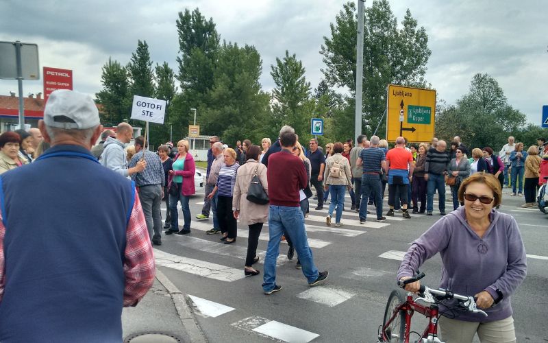 vrhnika, kemis, protest