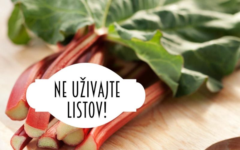 listi rabarbare.jpg