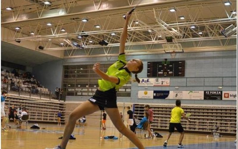 _zzzbadminton2.jpg