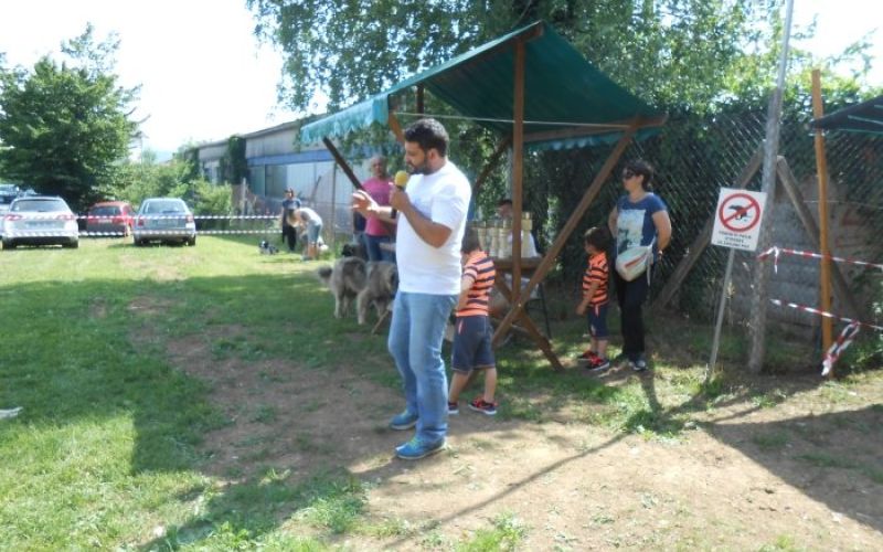 drobnicaj01.jpg