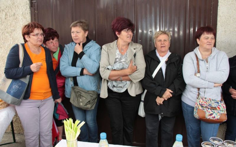 jelka_krivec01.jpg