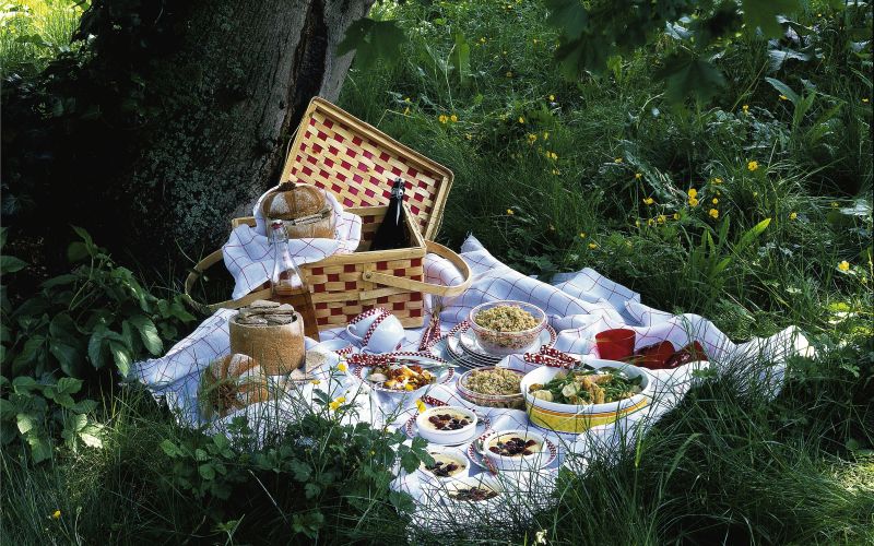 piknik