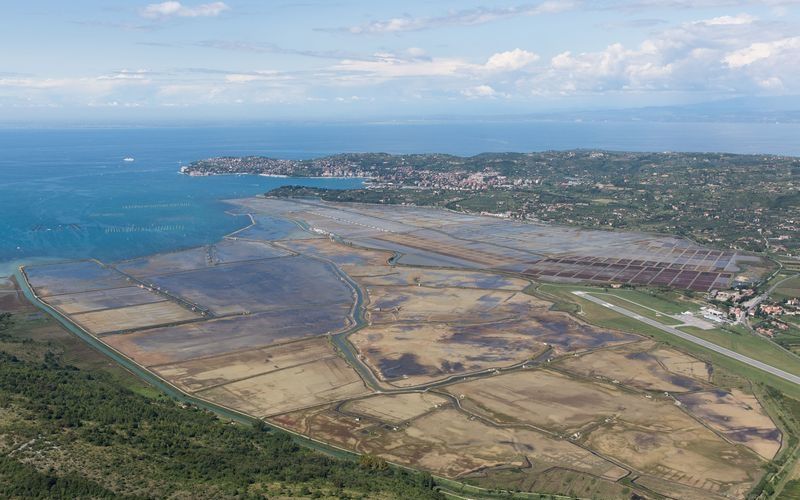 secovlje-savudrija-morje-meja-piranski-zaliv_bobo.jpg