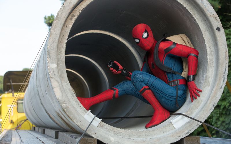 spider 1.jpg