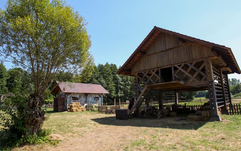 kmetija, resničnostni šov