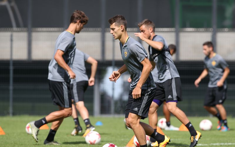 celar maribor dw.jpg