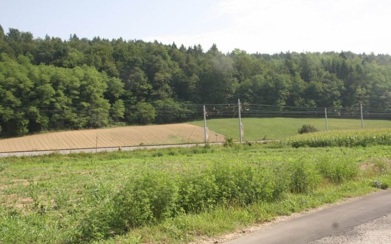 farma.jpg