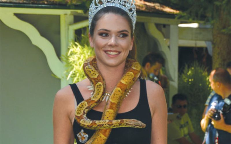 maja terandi.jpg