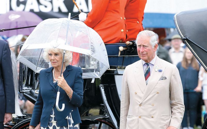 camilla in charles.jpg