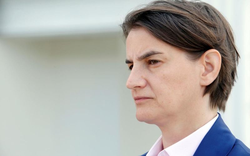 Ana brnabić, bled