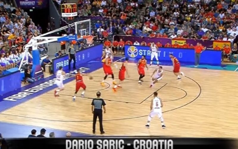 saric.jpg
