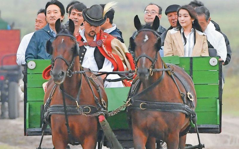 japonski princ.jpg