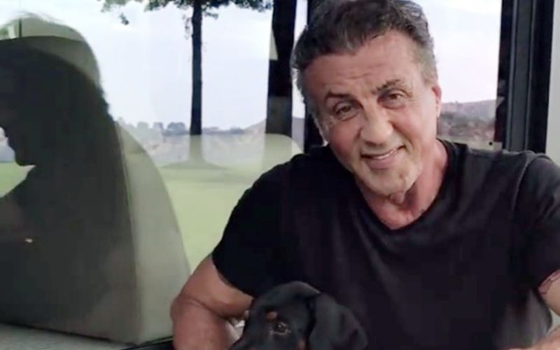 Sylvester Stallone