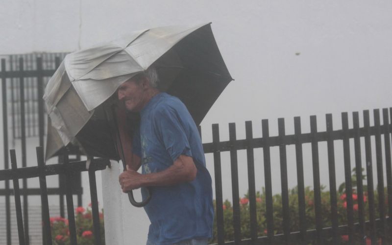irma.jpg