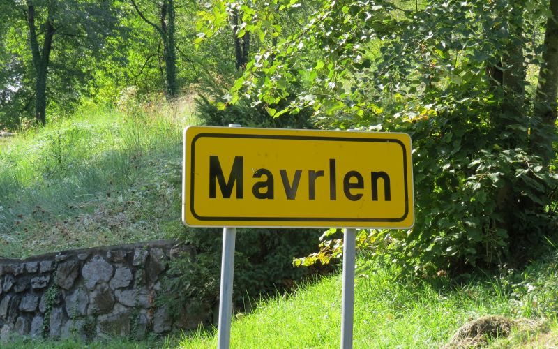 mavrlen, psi, pitbull, tatjana, tabla